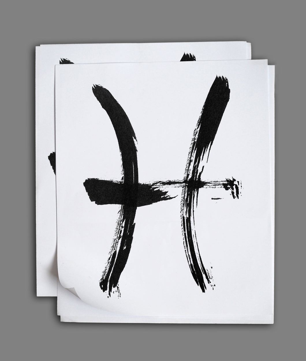 PISCES <BR> Feb 20th - March 20th