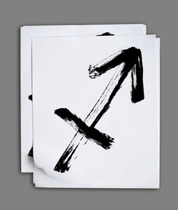 SAGITTARIUS <BR> Nov 22nd - Dec 21st