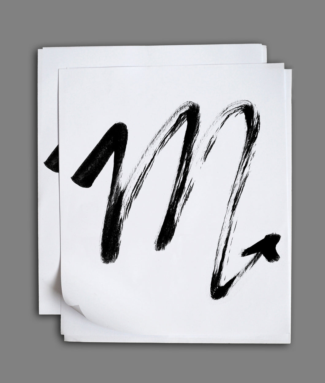 SCORPIO <BR> Oct 23rd - Nov 21st